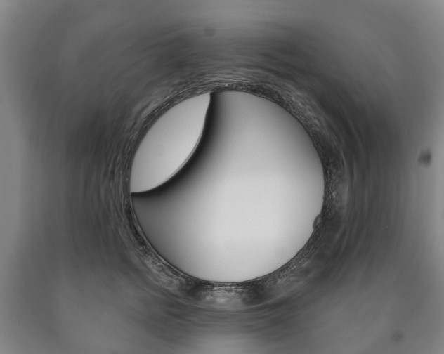 X0000090910758200707301033