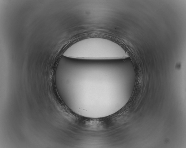 X0000090910759200707301033