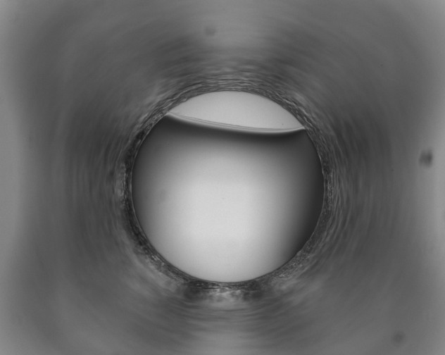 X0000090910760200707301033