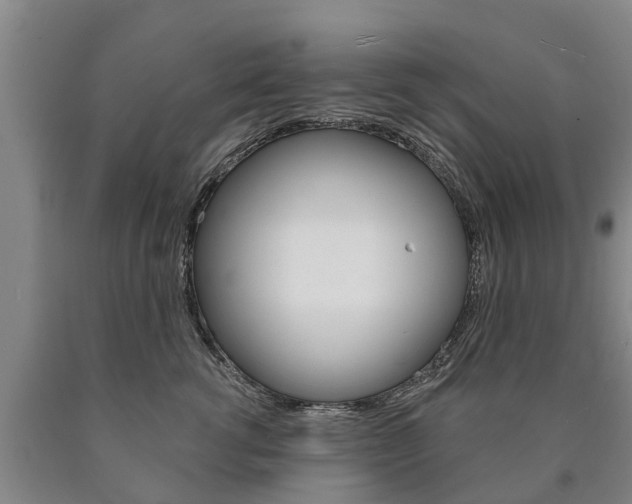 X0000090910762200707301033