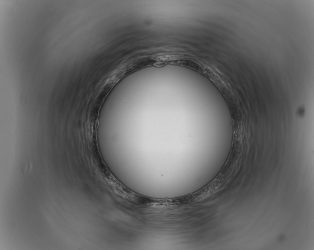 X0000090910763200707301033