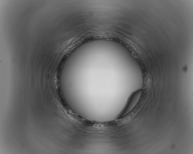 X0000090910764200707301033