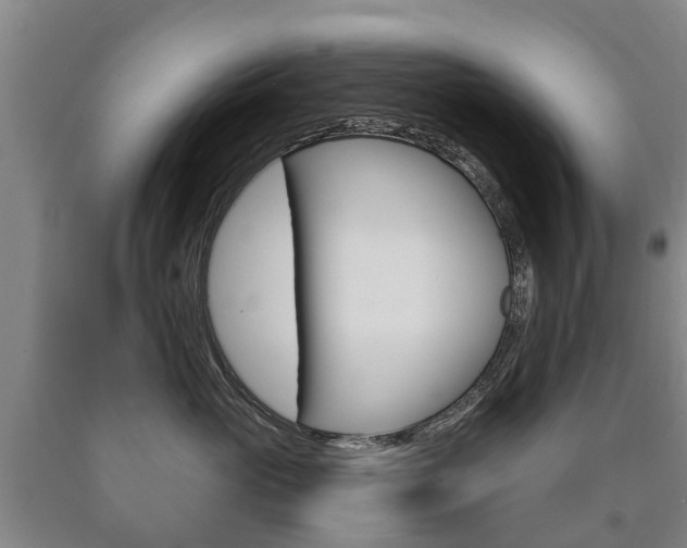 X0000090910765200707301033