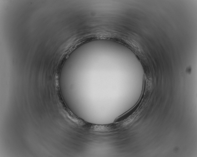 X0000090910766200707301033