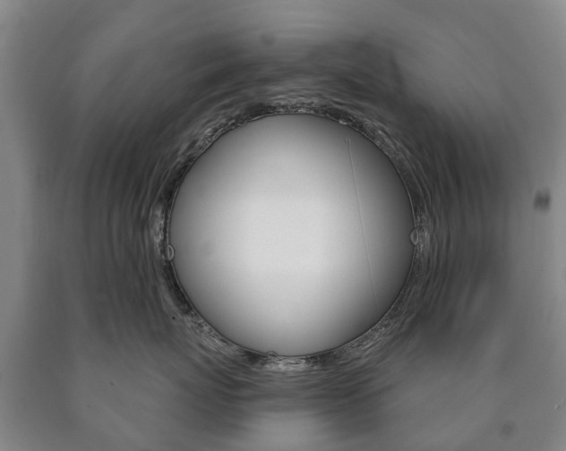 X0000090910767200707301033