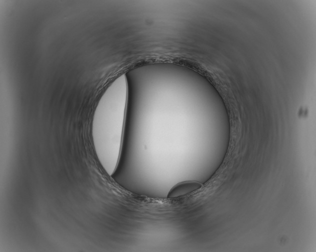 X0000090910768200707301033