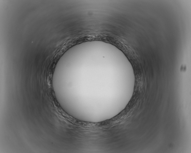 X0000090910770200707301032