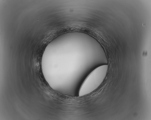 X0000090910771200707301032