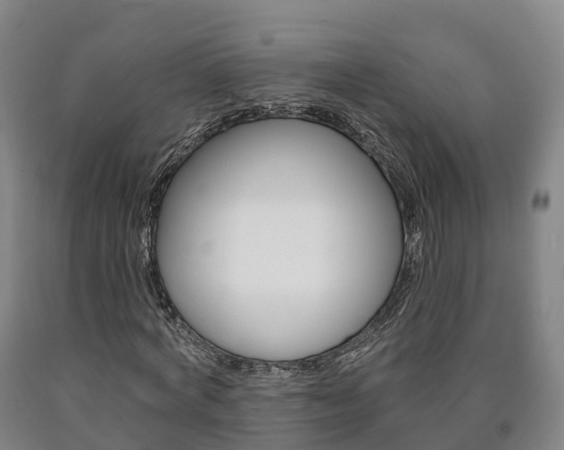 X0000090910772200707301032