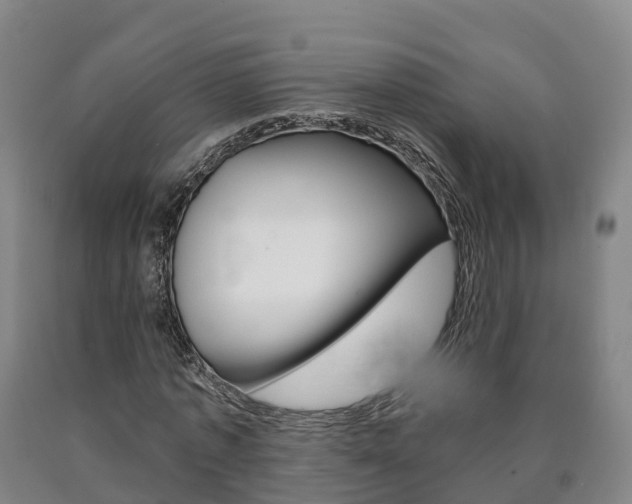 X0000090910773200707301032