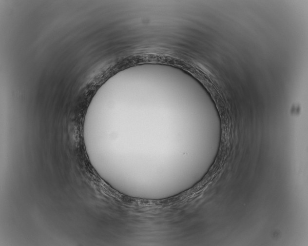 X0000090910774200707301032