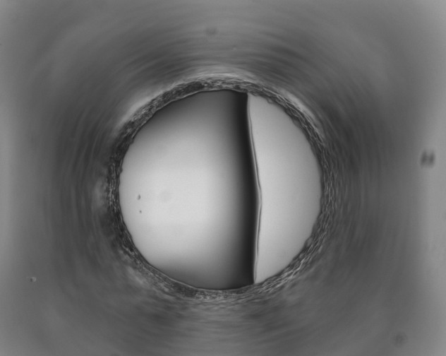 X0000090910775200707301032