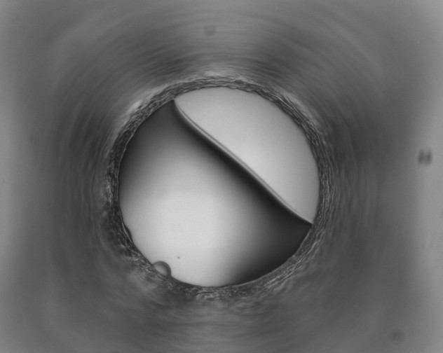 X0000090910776200707301032