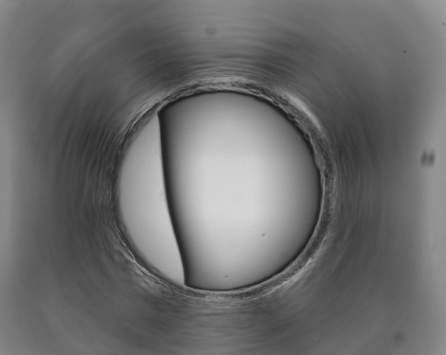 X0000090910777200707301032