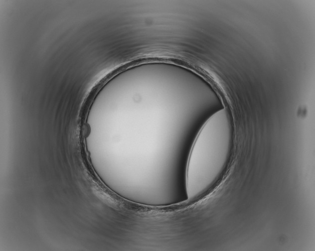 X0000090910779200707301032