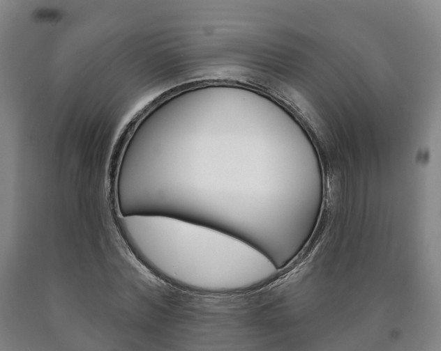 X0000090910780200707301032