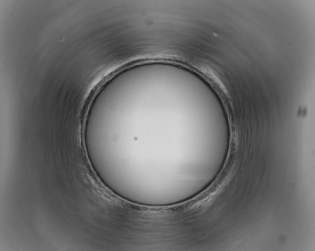 X0000090910781200707301032