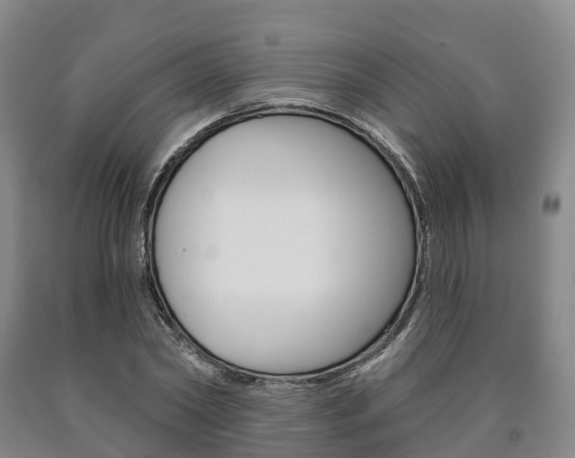 X0000090910782200707301032