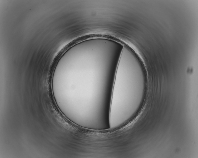 X0000090910783200707301032