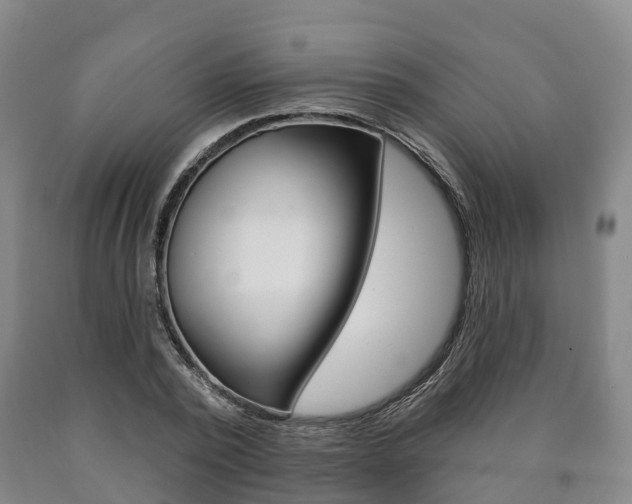 X0000090910784200707301032
