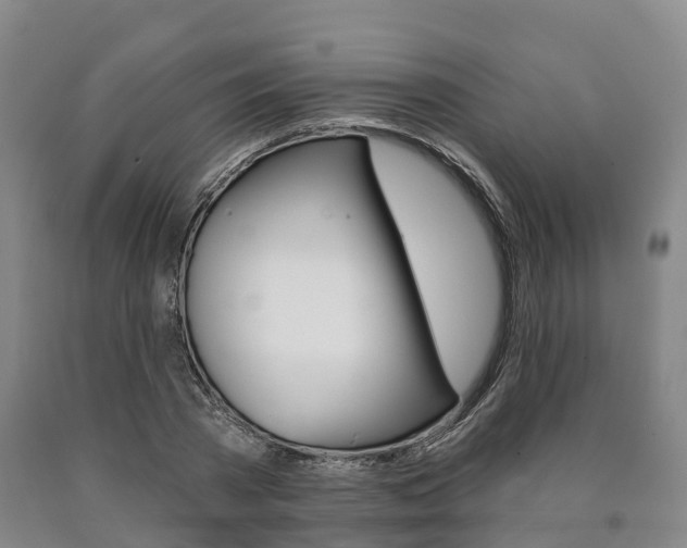X0000090910785200707301032
