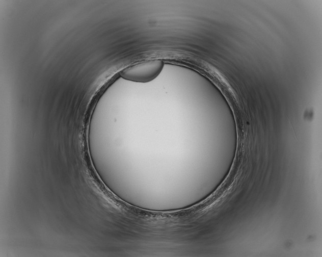 X0000090910786200707301032