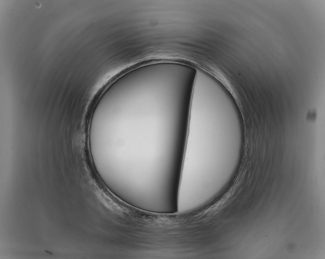 X0000090910787200707301032