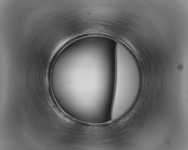 X0000090910788200707301032