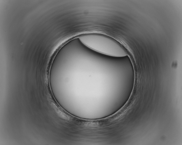 X0000090910789200707301032