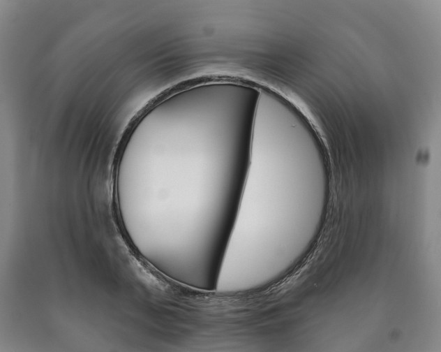 X0000090910791200707301032