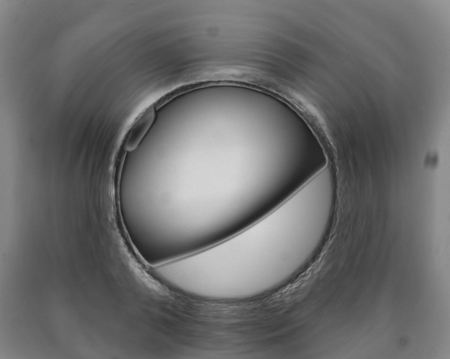 X0000090910792200707301032