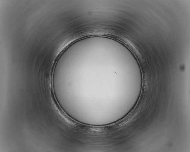 X0000090910794200707301032