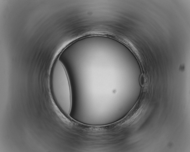 X0000090910795200707301032