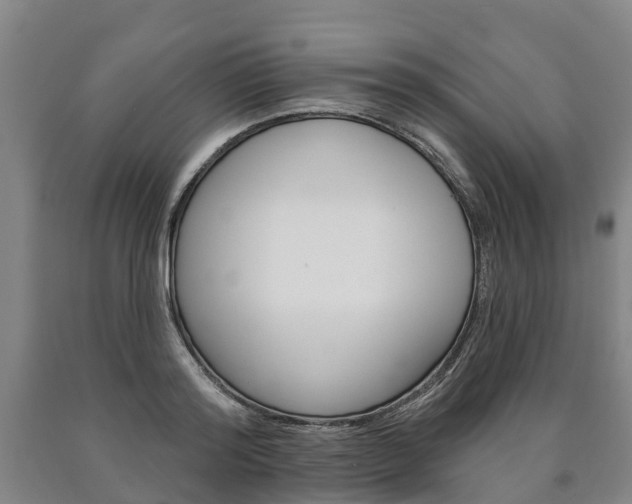 X0000090910796200707301032