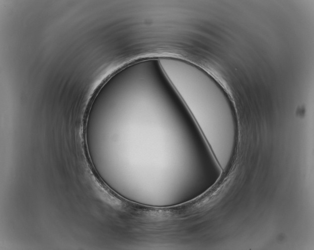 X0000090910797200707301032