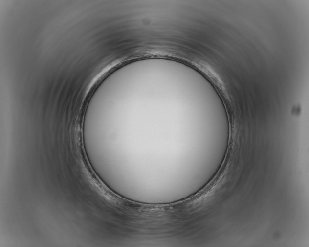 X0000090910798200707301032