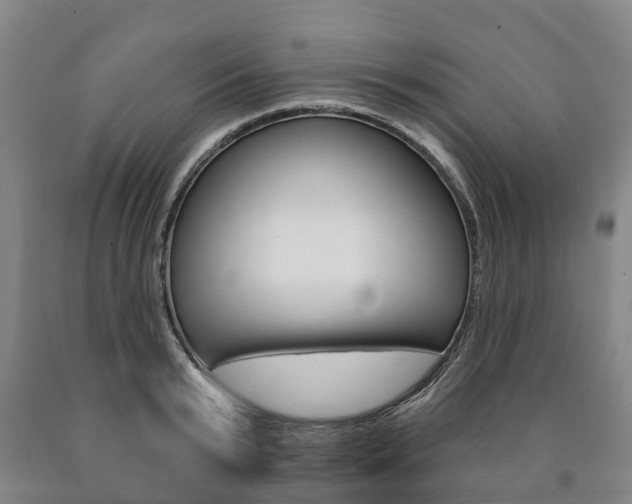 X0000090910799200707301031