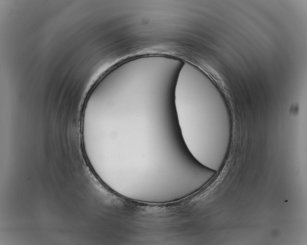 X0000090910800200707301031