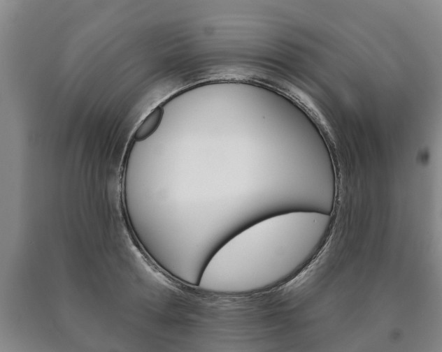 X0000090910802200707301031