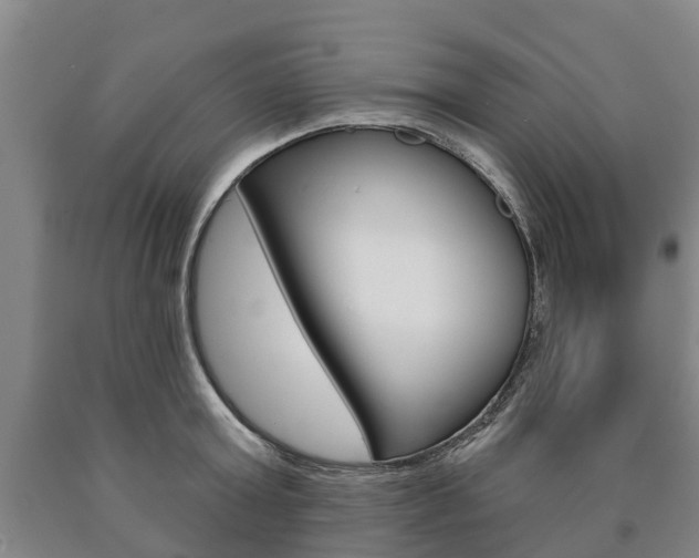 X0000090910803200707301031