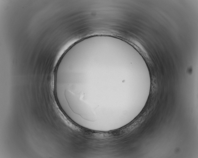 X0000090910804200707301031