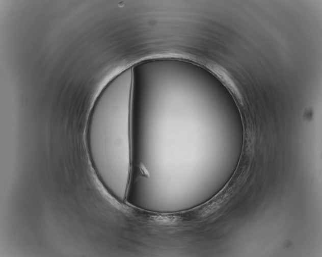 X0000090910805200707301031