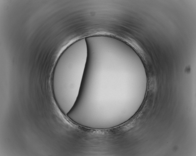 X0000090910806200707301031