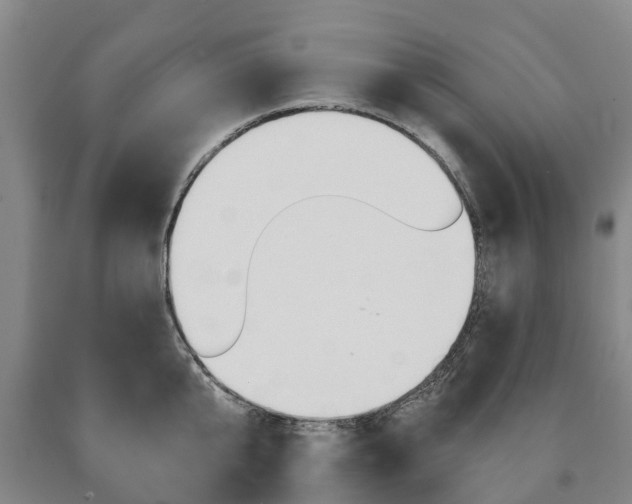 X0000090910807200707301031
