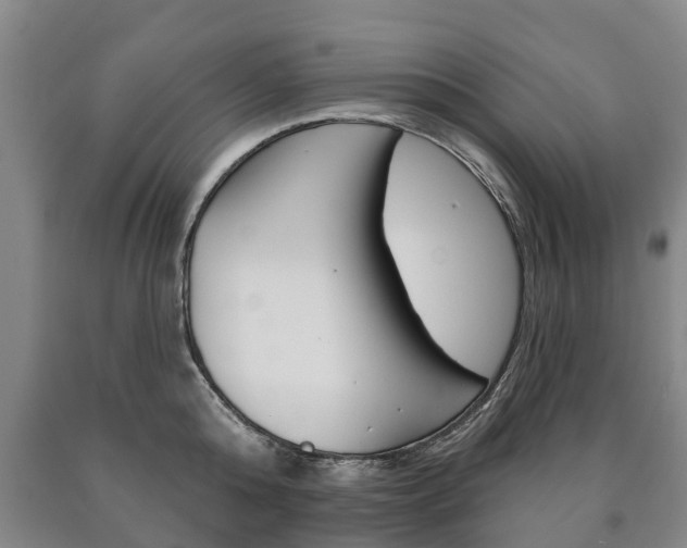 X0000090910808200707301031