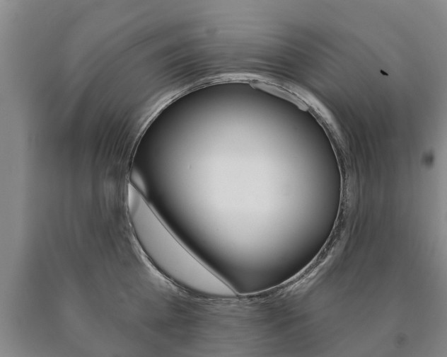 X0000090910809200707301031