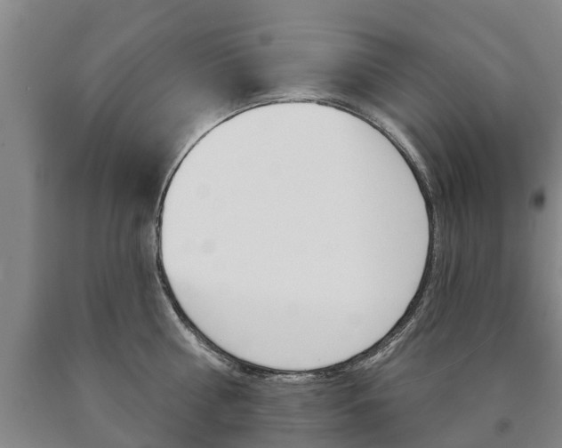 X0000090910810200707301031