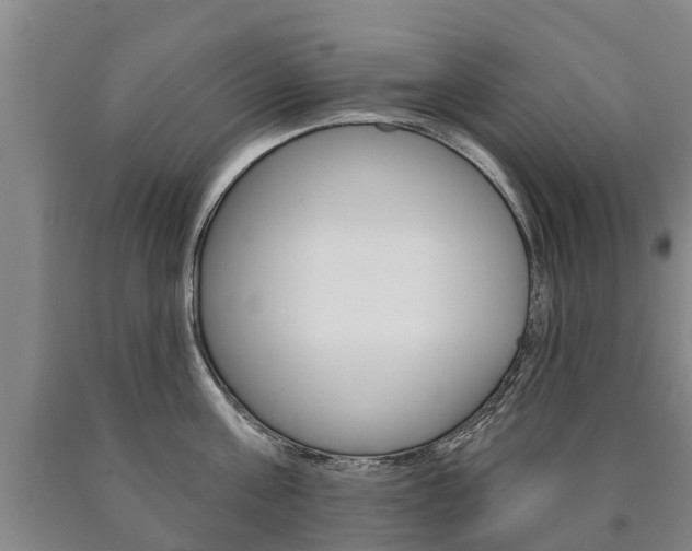 X0000090910811200707301031
