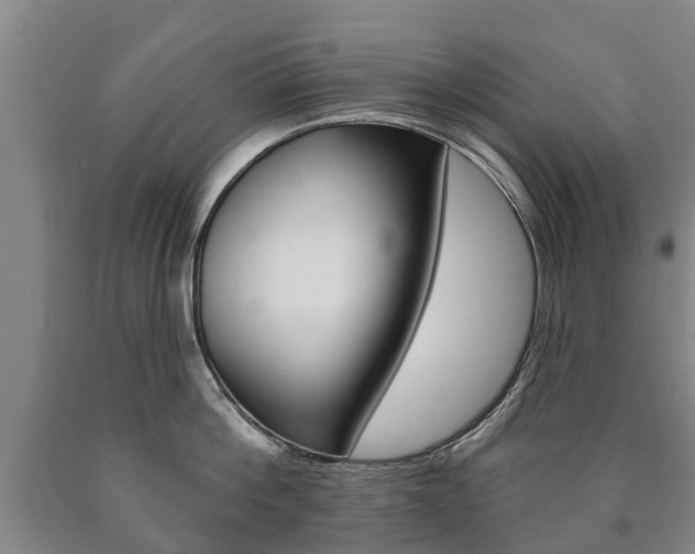 X0000090910812200707301031