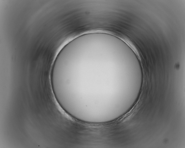 X0000090910813200707301031